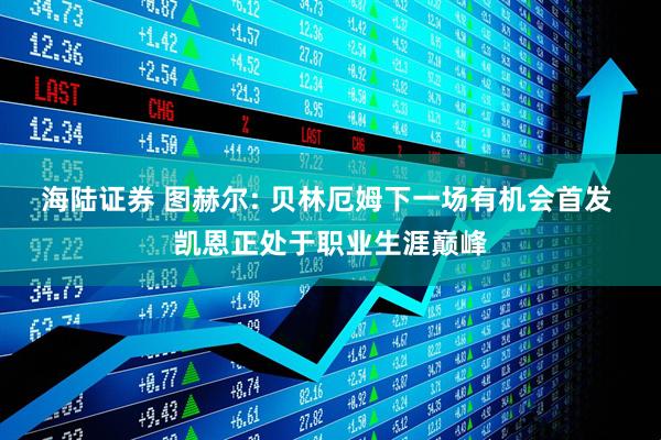 海陆证券 图赫尔: 贝林厄姆下一场有机会首发 凯恩正处于职业生涯巅峰